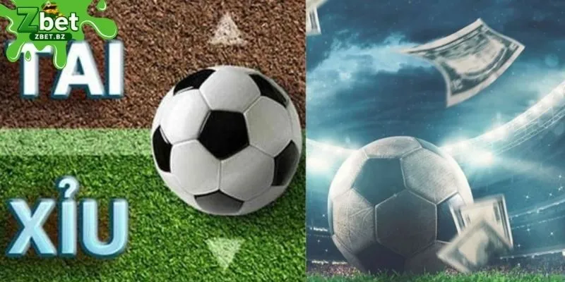 Tìm kiếm lời khuyên từ chuyên gia kèo tài xỉu
